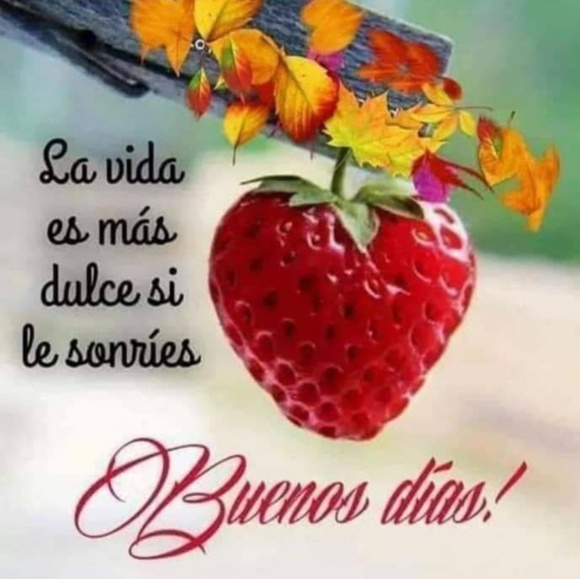 Meet your Posher, Raisa - Picture 3 of 3